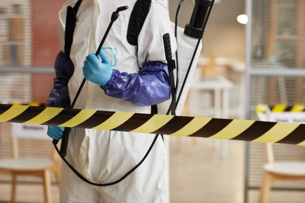 Professional Hoarding Cleanup technician working in Omaha, TX